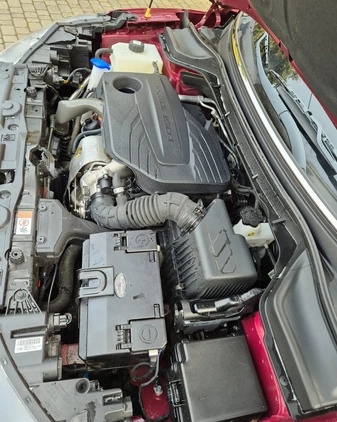 SsangYong Tivoli cena 27500 przebieg: 24500, rok produkcji 2019 z Siedlce małe 497